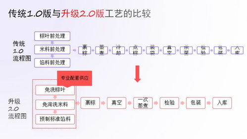 打造文化节日食品新质生产力,促进粽子行业高质量发展