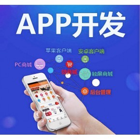 九盈国际系统APP软件开发